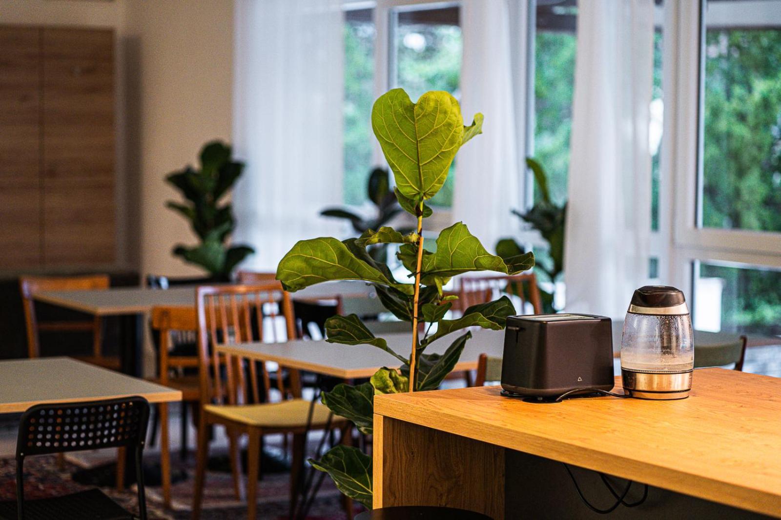 Dream Factory Melk - Green Hostel 外观 照片